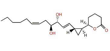 Constanolactone E